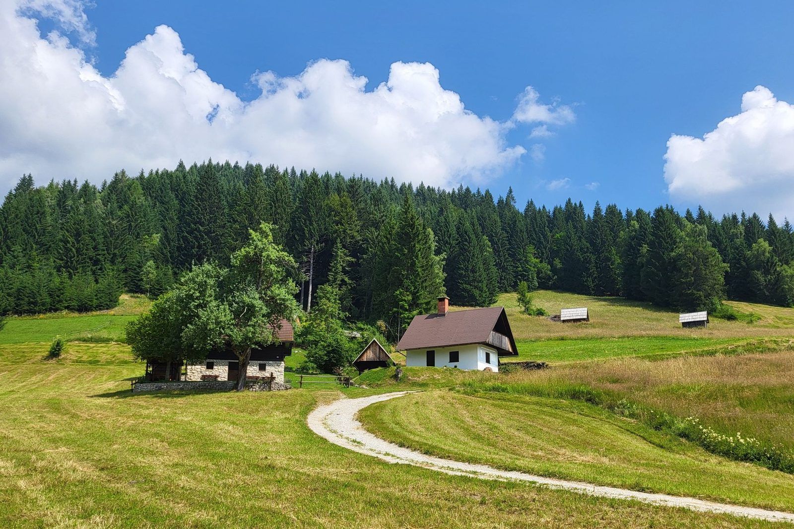 Einfamilienhaus auf dem Land vor einem Wald